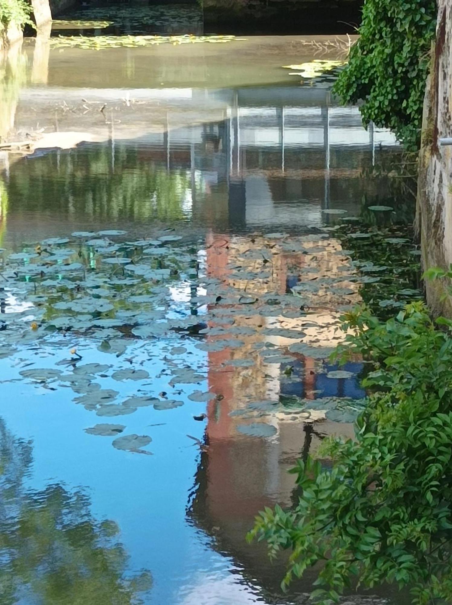 La Maison Au Bord De L'Eau Gracay Dış mekan fotoğraf